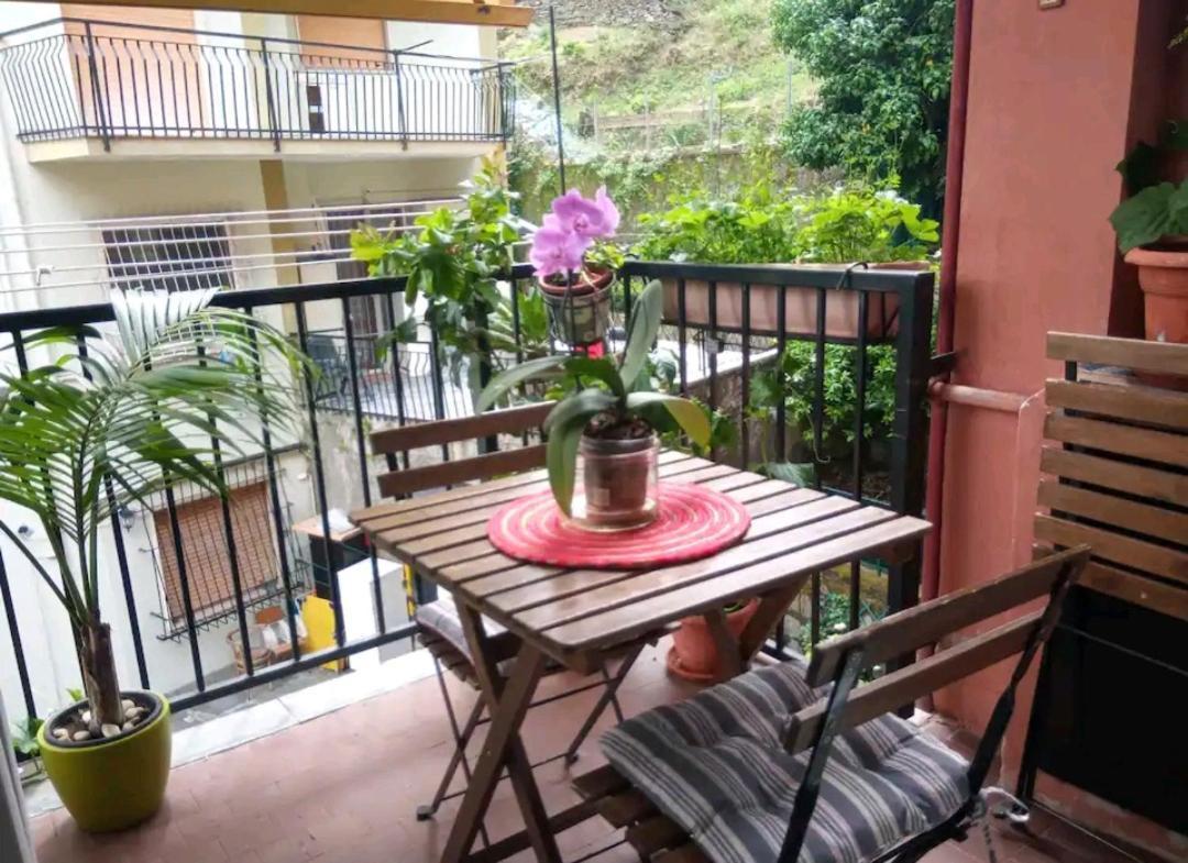 Camera Privata Nell'Appartamento In Zona Residenziale Con 2 Piscine 라팔로 외부 사진